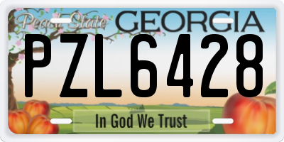 GA license plate PZL6428