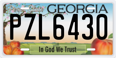 GA license plate PZL6430
