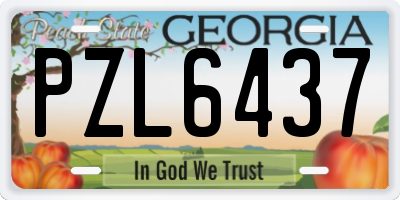 GA license plate PZL6437