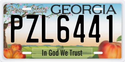 GA license plate PZL6441