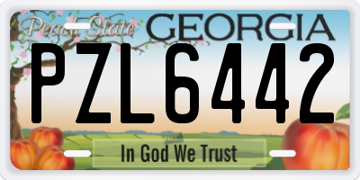 GA license plate PZL6442