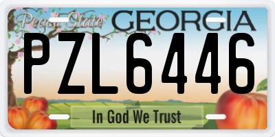 GA license plate PZL6446