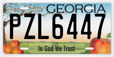 GA license plate PZL6447