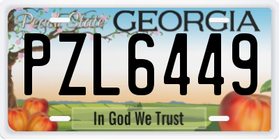 GA license plate PZL6449