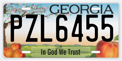 GA license plate PZL6455