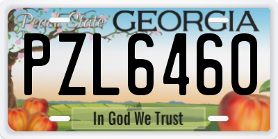 GA license plate PZL6460