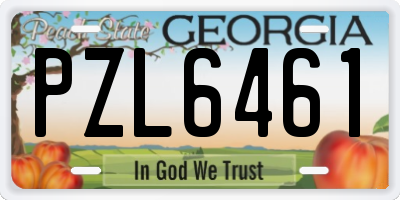 GA license plate PZL6461
