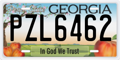 GA license plate PZL6462