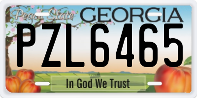 GA license plate PZL6465