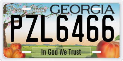 GA license plate PZL6466