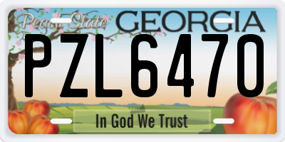 GA license plate PZL6470