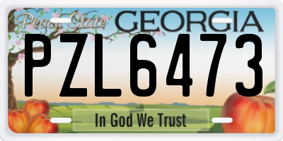 GA license plate PZL6473