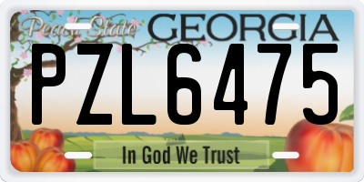 GA license plate PZL6475