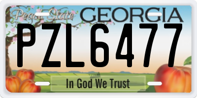 GA license plate PZL6477