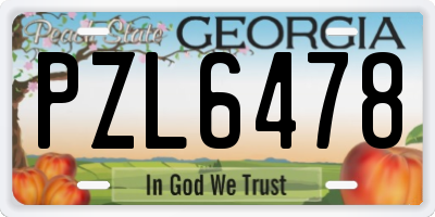 GA license plate PZL6478