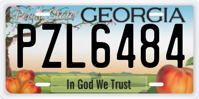 GA license plate PZL6484