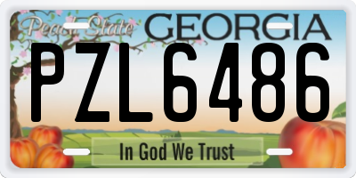 GA license plate PZL6486