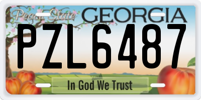 GA license plate PZL6487