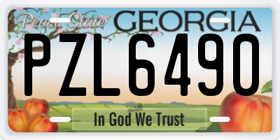 GA license plate PZL6490