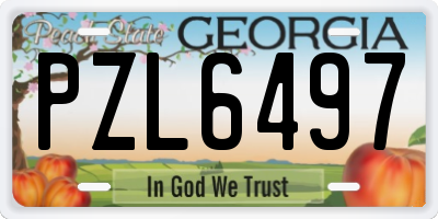 GA license plate PZL6497