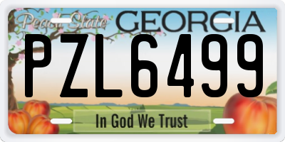 GA license plate PZL6499