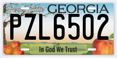 GA license plate PZL6502