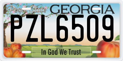 GA license plate PZL6509