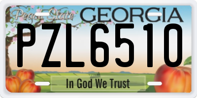 GA license plate PZL6510