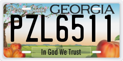GA license plate PZL6511