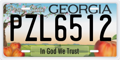 GA license plate PZL6512