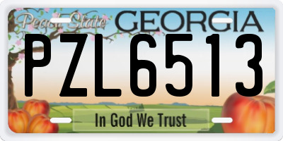 GA license plate PZL6513