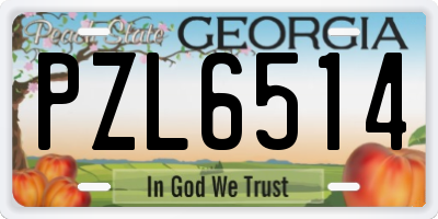 GA license plate PZL6514