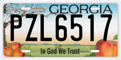 GA license plate PZL6517