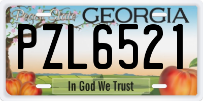 GA license plate PZL6521