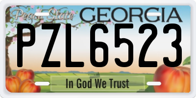 GA license plate PZL6523