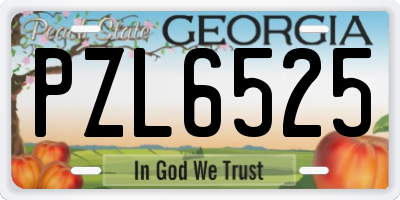 GA license plate PZL6525
