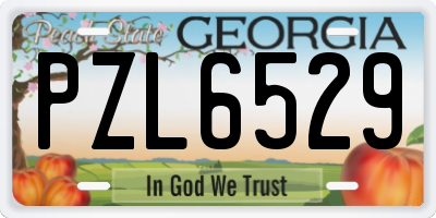 GA license plate PZL6529