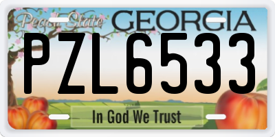 GA license plate PZL6533