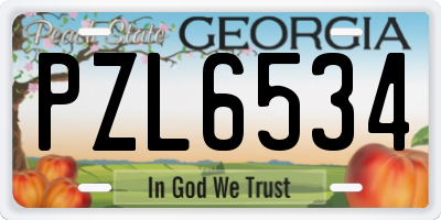 GA license plate PZL6534