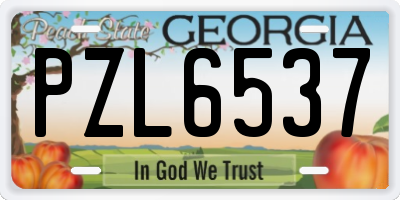GA license plate PZL6537