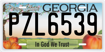 GA license plate PZL6539