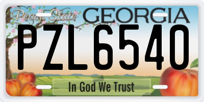 GA license plate PZL6540