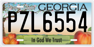 GA license plate PZL6554