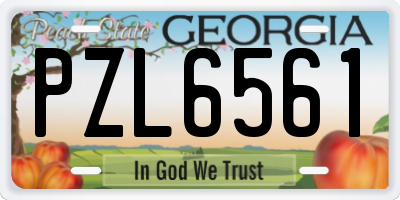 GA license plate PZL6561
