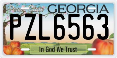 GA license plate PZL6563