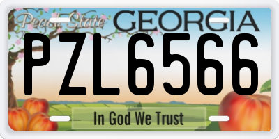 GA license plate PZL6566