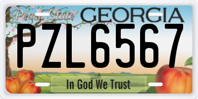 GA license plate PZL6567
