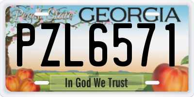 GA license plate PZL6571