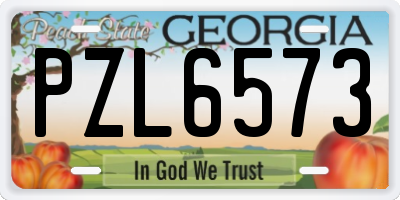 GA license plate PZL6573