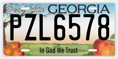 GA license plate PZL6578